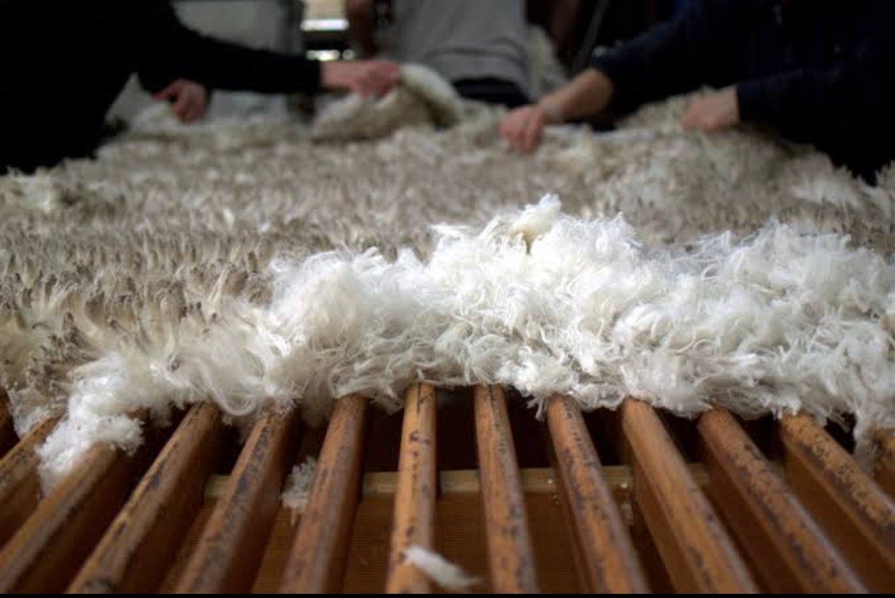 Woolgrowers & Wool Producers : Backbone of the Australian Wool Industr ...